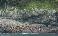 Alaska, Marine Highway - Fährfahrt Valdez-Whittier  Southcentral Route 07.JPG