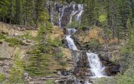 Alberta, Canadian Rockies - Icefields Parkway  Hwy 93, Along the way 11.JPG