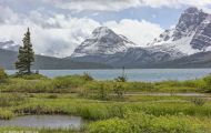 Alberta, Canadian Rockies - Icefields Parkway  Hwy 93, Bow Lake 01.JPG
