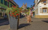 Baden-Württemberg, Breisach am Rhein - Innenstadt 02.JPG