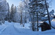 Bayern, Oberbayern - Grainau  Eibsee 01.JPG