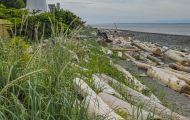 British Columbia, Vancouver Island - Campbell River  Quadra Island 06.JPG