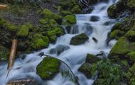 British Columbia, Vancouver Island - Campbell River  Strathcona Provicial Park 04.JPG