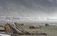 British Columbia, Vancouver Island - Pacific Rim National Park & Preserve  Long Beach 02.JPG