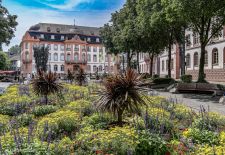 Mainz - Kleine grüne Oase am Schillerplatz