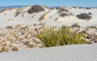 New Mexico, Southeast - White Sands National Monument 03.JPG