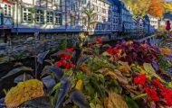Nordrhein-Westfalen, Monschau - Historische Altstadt 16