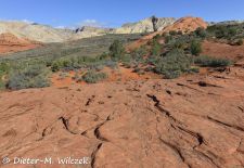 Spectacular Rock Formations in the Western US - Snow Canyon State Park, Utah.JPG