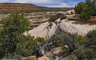 Utah, Canyon Country - Natural Bridges National Monument 03.JPG