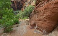 Utah, Dixie - Red Cliffs Recreation Site 02.JPG