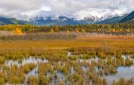Alaska, Southcentral - Seward Highway 03.JPG