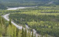 Alaska,Interior - Parks Highway 02.JPG