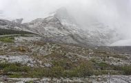 Alberta, Canadian Rockies - Icefields Parkway  Highway 93, Columbia Icefield 04.JPG