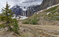 Alberta, Canadian Rockies - Jasper Area  Mt. Edith Cavell Road 02.JPG