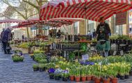 Bayern, Bamberg - Altstadt 29