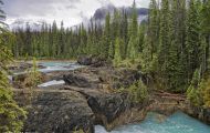 British Columbia, Kootenay Rockies - Yoho National Park  Natural Bridge 01.JPG