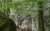 Rheinland-Pfalz, Eifel - Ernzen  Naturparkzentrum Teufelsschlucht 09.JPG