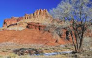 Utah, Canyon Country - Capitol Reef National Park 05.JPG