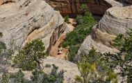 Utah, Canyon Country - Natural Bridges National Monument 04.JPG