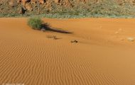 Utah, Dixie - Snow Canyon State Park 02.JPG