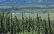 Yukon Territorries, Klondike - Along Alaska Highway 02.JPG