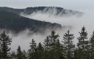 04 Baden-Württemberg, Schwarzwald - Schwarzwaldhochstrasse 04.JPG
