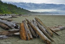 Vancouver Island - Perle im Kanadischen Westen - Pacific Rim, Ausflugsparadies Long Beach