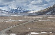 Alaska,Interior - Denali National Park 03.JPG