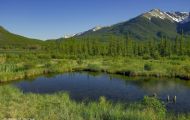 Alberta, Canadian Rockies - Banff Area - Vermillion Lakes 01.JPG