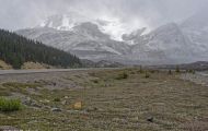 Alberta, Canadian Rockies - Icefields Parkway  Highway 93, Columbia Icefield 03.JPG