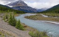 Alberta, Canadian Rockies - Icefields Parkway  Hwy 93, Along the way 05.JPG