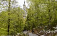 Bayern, Schwangau - Hohenschwangau / Schloss Neuschwanstein 06
