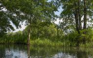 Brandenburg, Spreewald - Lübbenau  Lehde 17.JPG