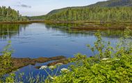 British Columbia, Northern B.C. - Yellowhead Highway  Highway 16, Along the way 01_.JPG