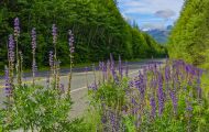 British Columbia, Vancouver Island - Island Highway  Highway 19 03.JPG