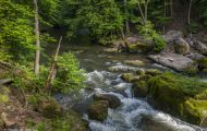 Rheinland-Pfalz, Eifel - Irreller Wasserfälle 04.JPG