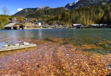 Unterwegs am Königssee - Leuchtendes Herbstlaub im Königssee.JPG