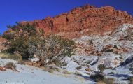 Utah, Canyon Country - Capitol Reef National Park 03.JPG