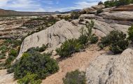 Utah, Canyon Country - Natural Bridges National Monument 11.JPG