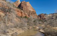 Utah, Dixie - Zion National Park 07.JPG
