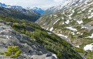 Alaska, Inside Passage - Klondike Highway 02.JPG