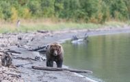 Alaska, Southwest - Katmai National Park & Preserve 10.JPG