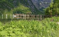 Bayern, Oberbayern - Schönau am Königssee  Königssee, Obersee 01.JPG