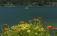 Bayern, Oberbayern - Tegernsee  Bad Wiessee 02.JPG