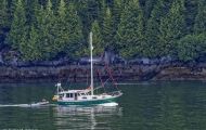 British Columbia, Inside Passage - Fährfahrt Port Hardy nach Prince Rupert 12.JPG