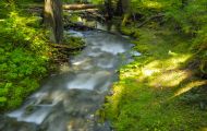 British Columbia, Vancouver Island - Campbell River  Strathcona Provicial Park 01.JPG