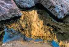 Impressionen vom Nationalpark Zion - Wasserspiegelungen entlang des Scenic Drive.JPG