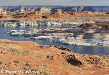 Naturwunder aus Stein im Westen der USA - Glen Canyon National Recreation Area, Utah.JPG