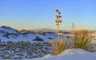 New Mexico, Southeast - White Sands National Monument 06.JPG