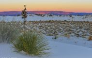 New Mexico, Southeast - White Sands National Monument 08.JPG